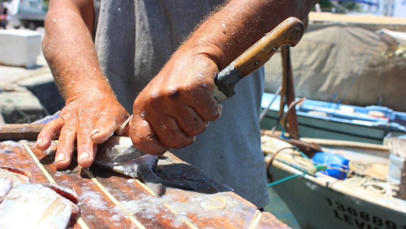 ‘Ignorantes’ e ‘ineficientes’: são os estereótipos negativos sobre pescadores artesanais