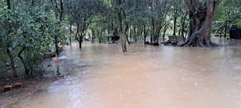 Enchentes já afetaram mais de 80 comunidades indígenas no RS