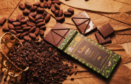 Indígenas criam chocolates e participam do Chocolat Xingu 2024