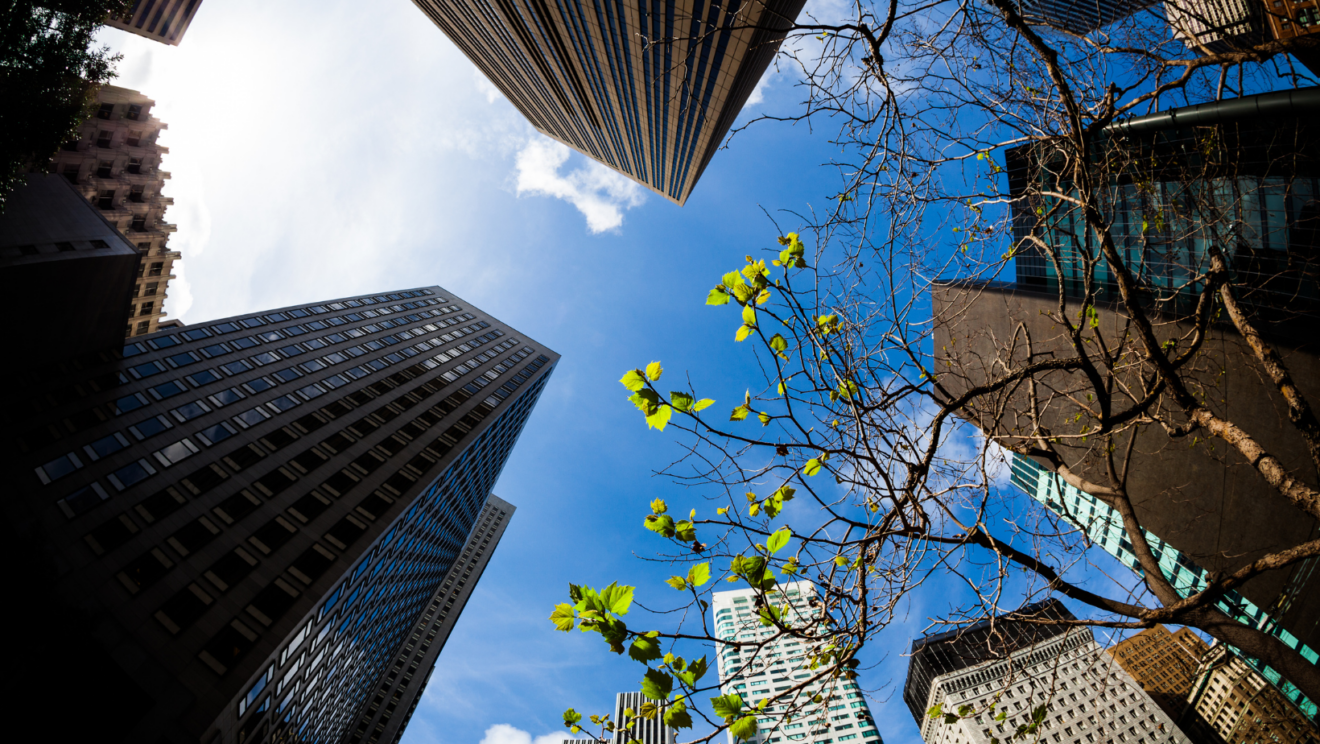 Soluções arquitetônicas para mudanças climáticas