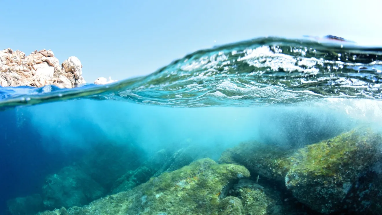 Educar sobre a Cultura Oceânica é essencial para um futuro sustentável