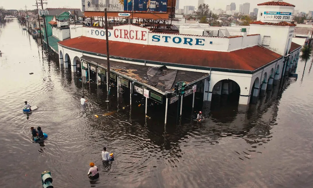 13ª Mostra Ecofalante de Cinema discute emergência climática