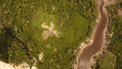 Acervo Idesam
Seminário Floresta Viva Amazonas