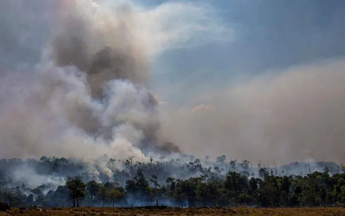 Emissão de CO2 por queimadas na Amazônia cresce 60%