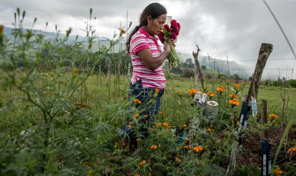 Julia Francisco Martínez leva flores ao túmulo de seu marido, Juan Francisco Martínez, ativista assassinado em 2015, Honduras. Ativistas socioambientais da América Central enfrentaram mais ataques per capita do que em qualquer outro lugar do mundo no ano passado (Imagem © Giles Clarke / Global Witness)