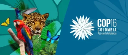 COP16 – Esta é a nossa última chance de salvar a natureza?