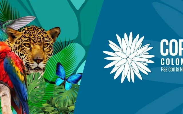 COP16 – Esta é a nossa última chance de salvar a natureza?