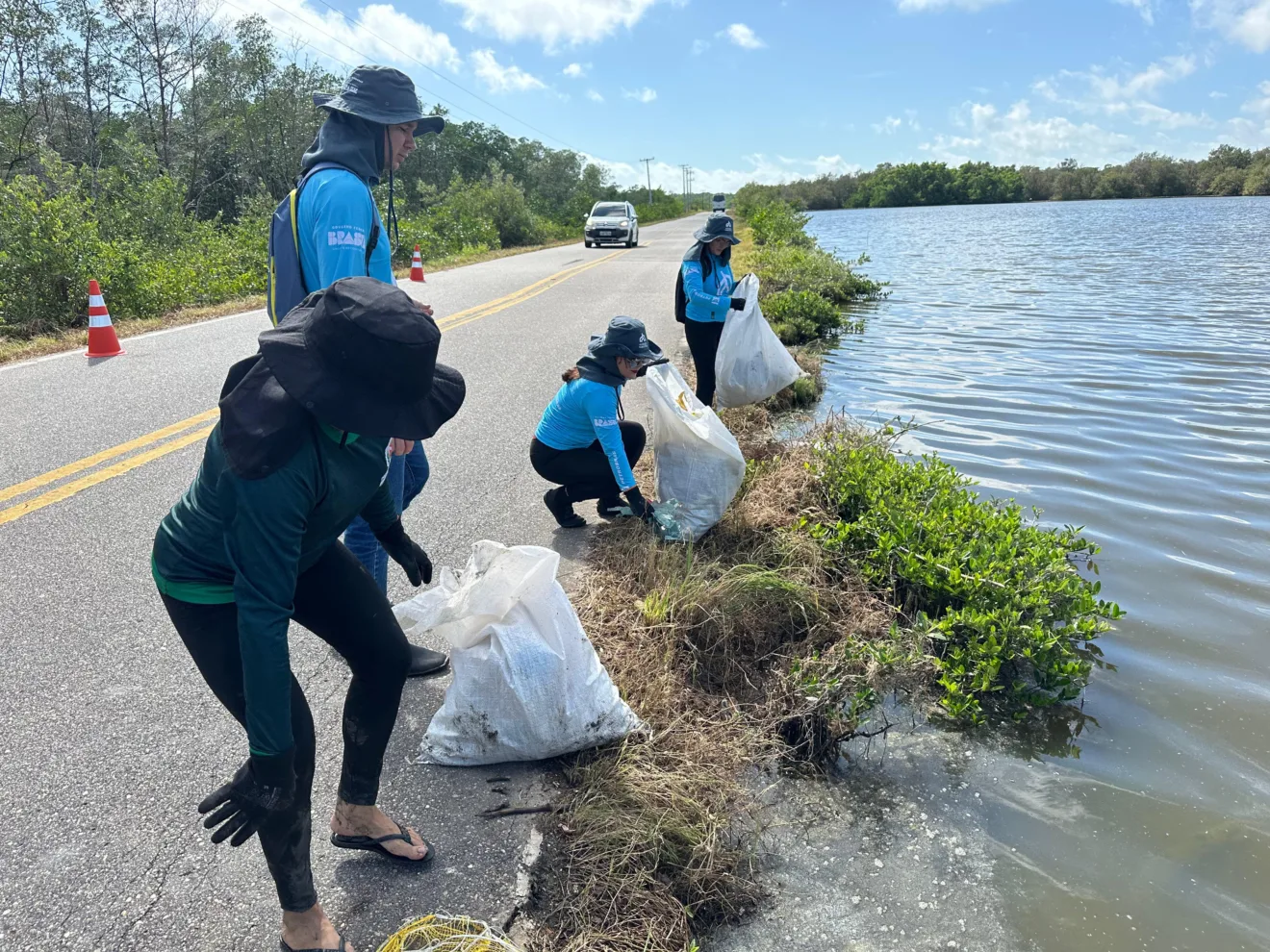 Limpeza de manguezais mobiliza comunidades na costa amazônica