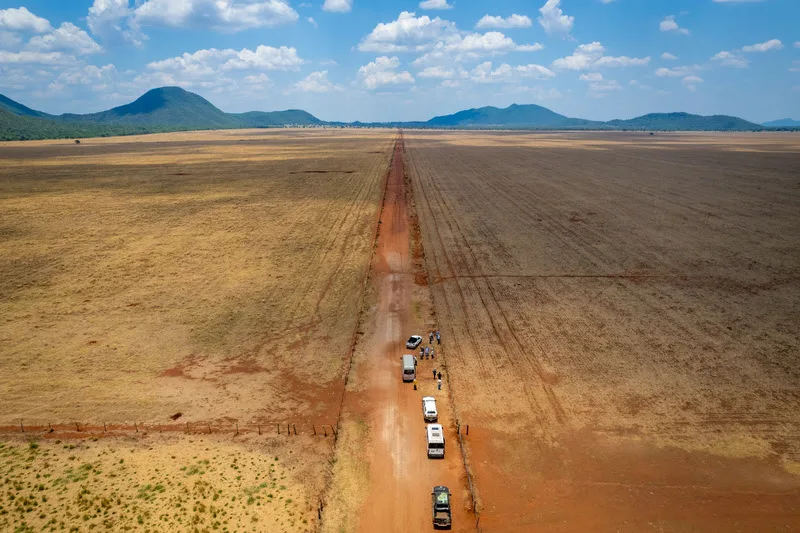 O Cerrado perdeu cerca de 1 milhão de hectares de vegetação nativa para o desmatamento em 2023/ Crédito: Silas Ismael / WWF-Brasil