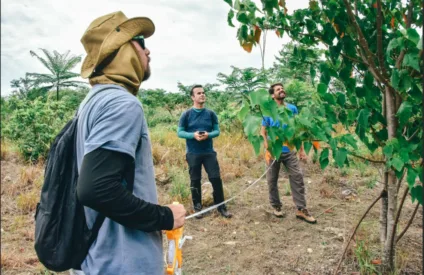 ​Parque Paleontológico de Itaboraí avança com 65 mil mudas plantadas