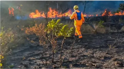 Incêndios em alta nos principais biomas brasileiros