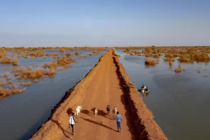 ACNUR/Andrew McConnell
Sudão do Sul. Anos de inundações deixam milhares de pessoas  permanentemente deslocadas em Bentiu.