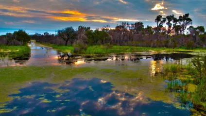 Restauração é chave para garantir resiliência hídrica no Pantanal
