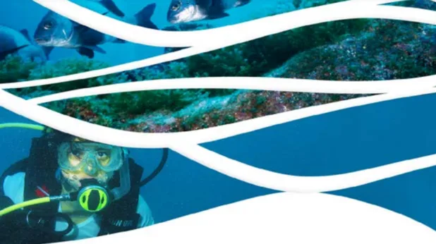 Bolsas para artistas e jornalistas em Edital Conexão Oceano de Comunicação Ambiental