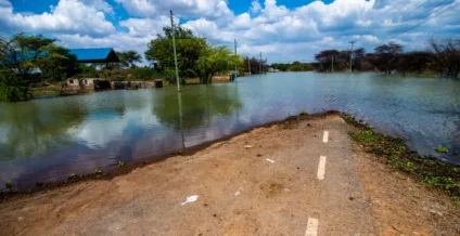 Retrocesso desesperador que ameaça futuro do país