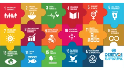 COP30: como organizações estão acelerando os ODS da ONU