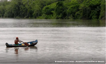 Fundo JPA destina R$ 700 mil a projetos na Amazônia Legal