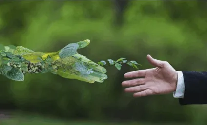 Envolverde: um vetor de desenvolvimento para a comunicação ambiental