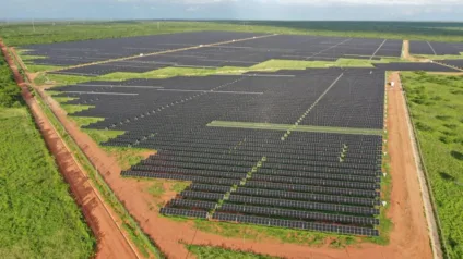 No RN, a devastação da Caatinga teve como causa o pasto, a mineração, a produção de lenha e carvão. Agora, a ameaça são as usinas solares. (Foto: Scatec / Divulgação)